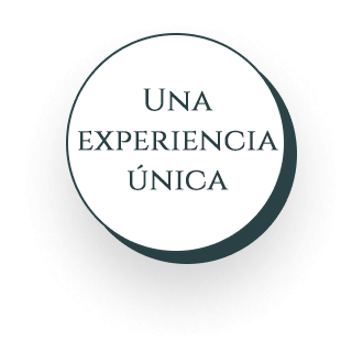 https://corneliasuites.com/wp-content/uploads/experiencia-unica.png